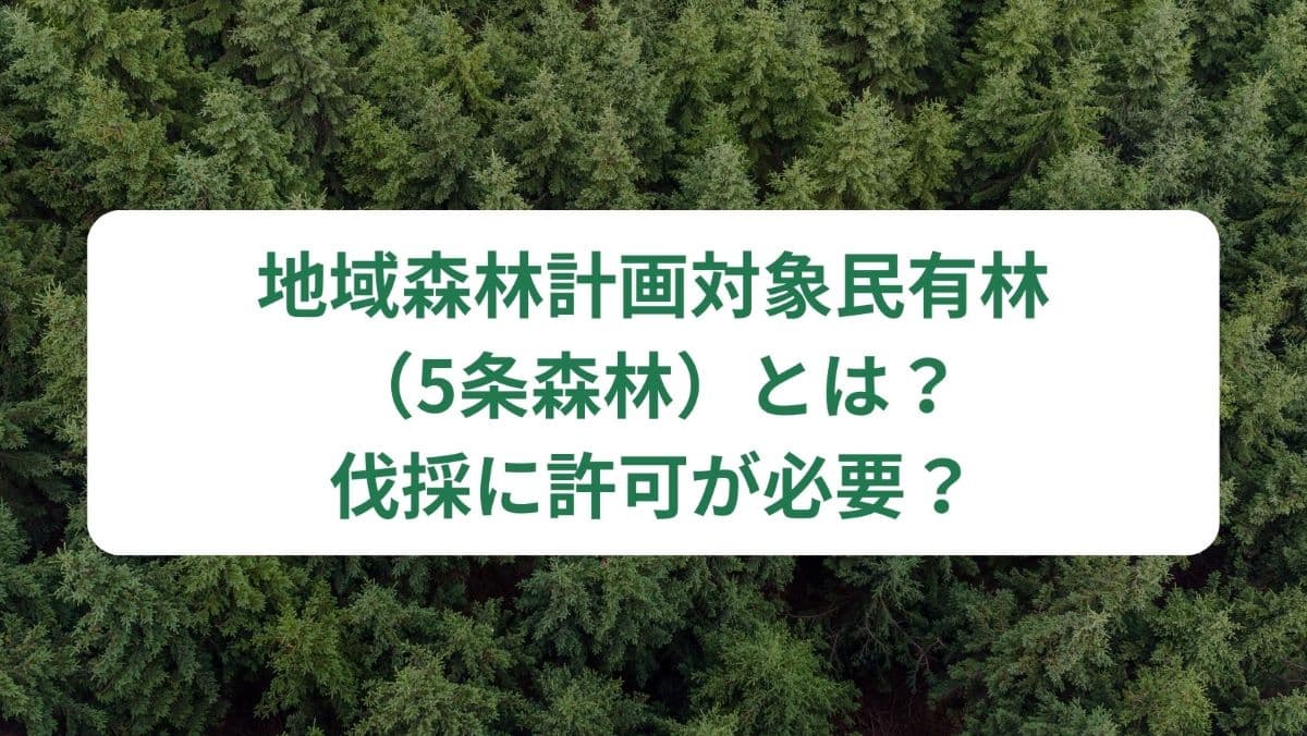 地域森林計画対象民有林（5条森林）とは？伐採に許可が必要？