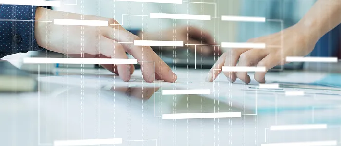 全体の工程管理をお任せできるコンサルタントを探している。